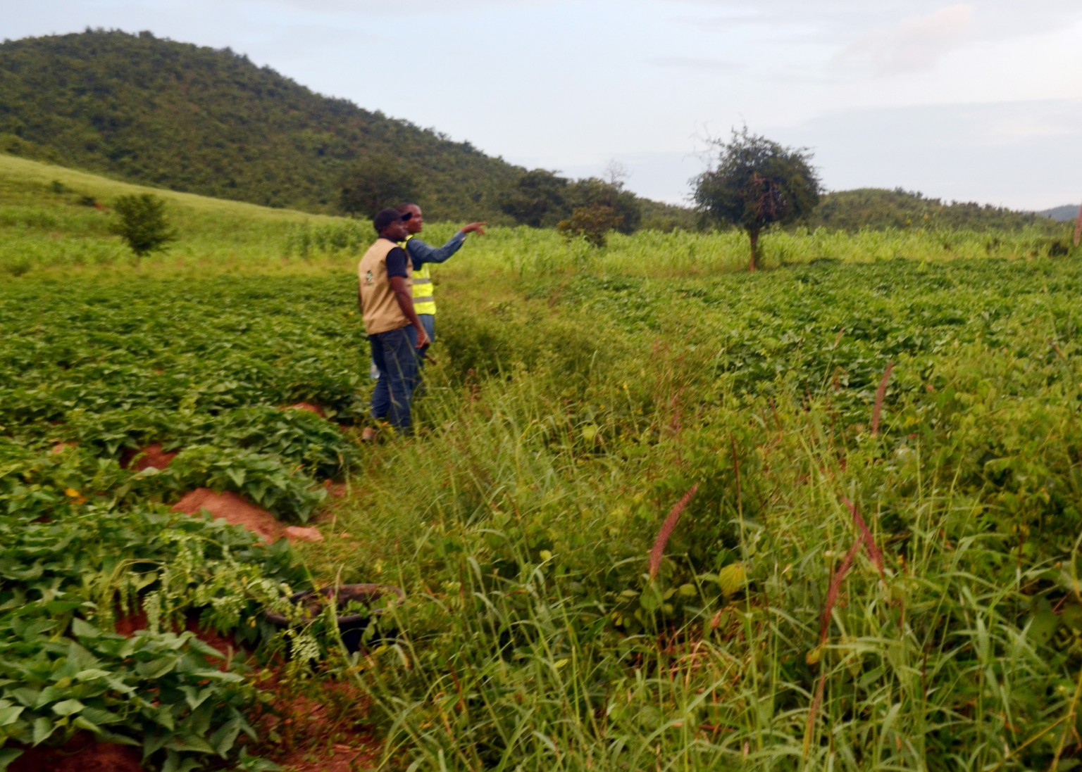 Field-based sustainable development work